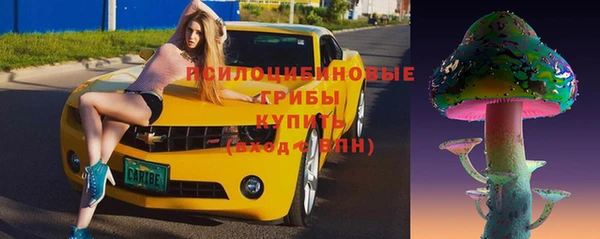 ПСИЛОЦИБИНОВЫЕ ГРИБЫ Куйбышев