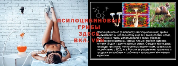 MDMA Кукмор