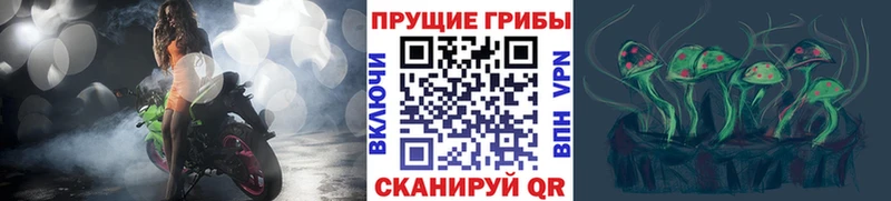 Купить  Котельнич  Галлюциногенные грибы MAGIC MUSHROOMS 